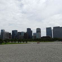 皇居前広場と大手町のビル群