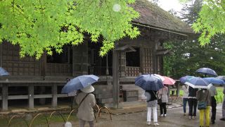 雨の毛越寺
