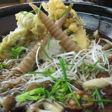 ぶっかけソバ「マザーツリー」は８００円。激ウマです！