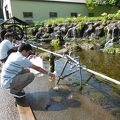 じゃんじゃん湧いてるお水