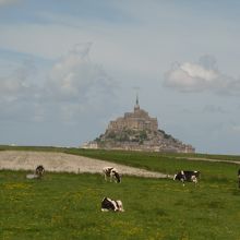 牛やプレサレ羊がのんびりしていました