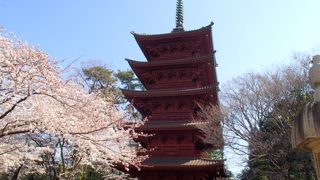 立派な山門です。