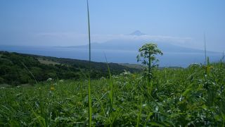目の前いっぱいに広がる、草原と海と利尻富士