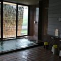 日帰り温泉可能でした。