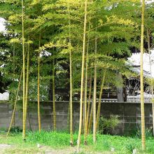 軍事・交通の要衝だった「佐太陣屋（さたじんや）跡」