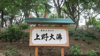 上野に大仏があったなんて…