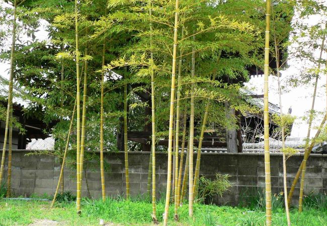 軍事・交通の要衝だった「佐太陣屋（さたじんや）跡」