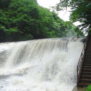 滝見台からも、すぐ近くからも見る事が出来ます。