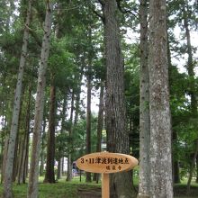 ３・１１　ここまで津波がきたと札が掲げてありました。