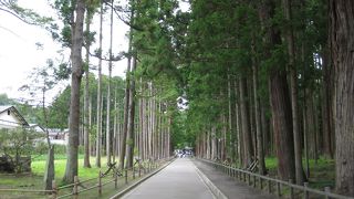 参道が癒される･･･☆