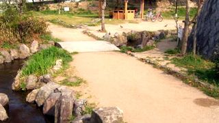 三ツ池の自然とカモなどの鳥類の飛来が見れます