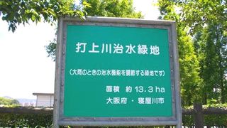 1万2000m2もの芝生広場がある