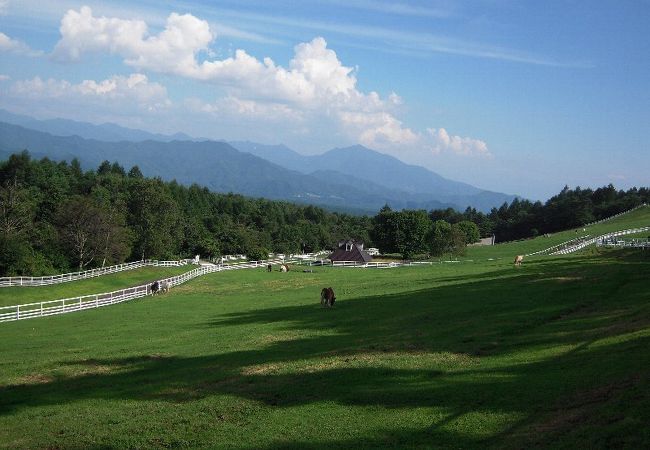 まきば公園