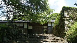 下から見上げると穏やかな眺めです。