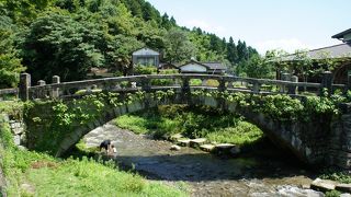花崗岩を使用し、シダが適度に生えてとてもきれいです