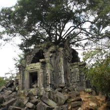 ラピュタっぽい外観