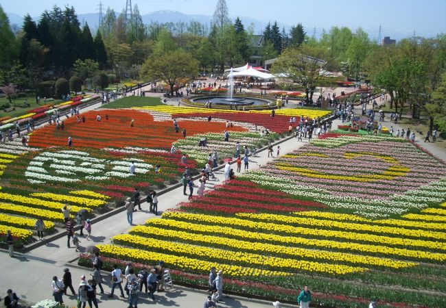 砺波チューリップ公園 クチコミ アクセス 営業時間 砺波 フォートラベル