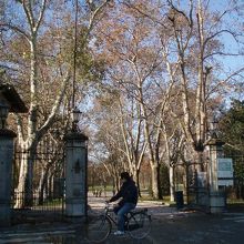 正門です。ここから一直線上に並木道が整備されてます