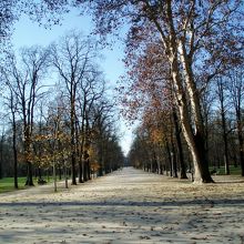 園内は本当に広々してます〜