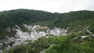 高原の景色を楽しめる