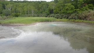 快適な夏山ドライブ♪