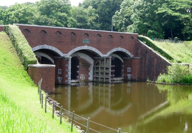 ミュージアムパーク茨城県自然博物館 クチコミ アクセス 営業時間 常総 坂東 フォートラベル ミュージアムパーク茨城県自然博物館 クチコミ アクセス 営業時間 常総 坂東 フォートラベル