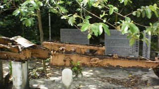 遊ぶだけじゃ物足りない人に