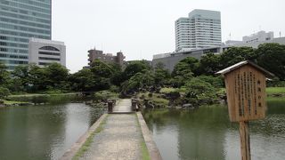 調和のとれた美しさです