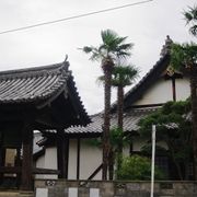 光専寺