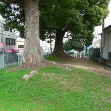 茨田堤（まむたのつつみ）跡