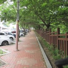 歩道は板張り。足に優しいです。