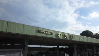 早朝観蓮会＆象鼻杯開催中、「ハス酒」を試飲しちゃおう