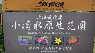 ７月は最高です