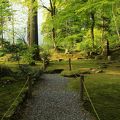 苔むす緑のパワースポットにある中世庭園