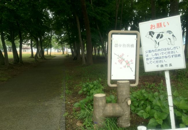 桜ヶ丘公園