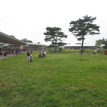 広大な芝生広場を囲むようにお店があります