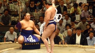 大相撲観戦