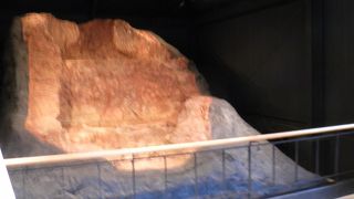 屋外にもみるところある