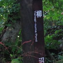 桧原湖に近い柳沼