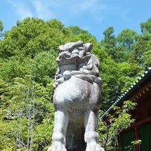 二荒山神社の狛犬。格好いい。この山に合っている。