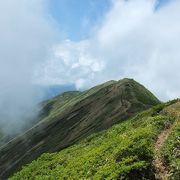 高山植物の宝庫