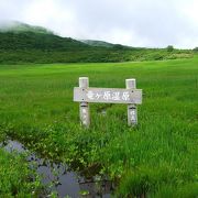 鳥海山登山コースの矢島口コースの五合目付近に広がっています。