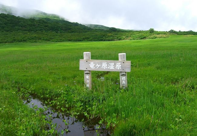 鳥海山登山コースの矢島口コースの五合目付近に広がっています。