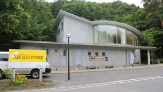 琥珀を燃やしたり、顕微鏡で見たりと、展示だけでなく、実験もできる施設です