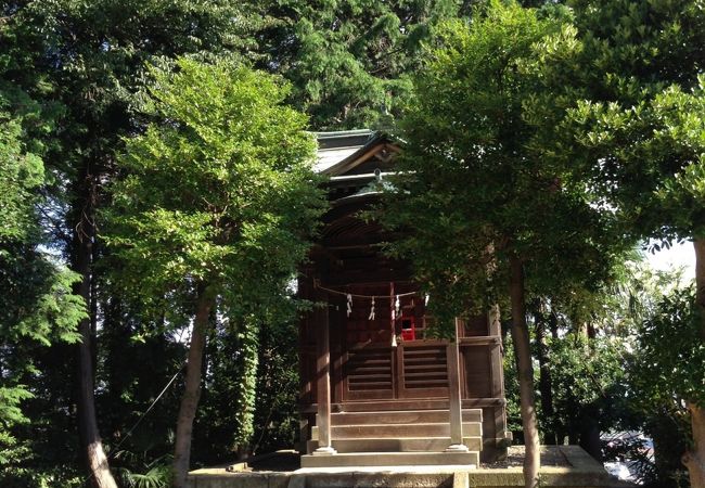 【耳をすませば】のあのシーン