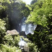 神奈川県で最大規模