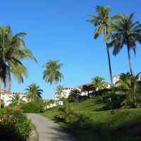 敷地は広く、きれいです