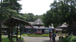 ここしか行けません