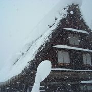 驚きの雪、雪、雪、