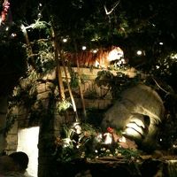 レインフォレスト カフェ